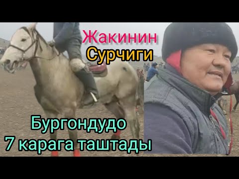 Видео: Кушу балбан 7 карага Жаки мырзанын аты менен таштады