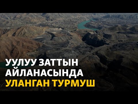 Видео: Майлуу-Суу жана Таш-Көмүр: уулуу заттын айланасында уланган турмуш | Данисте