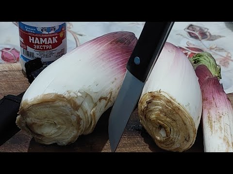 Видео: САЙРИ ДЕХАИ ШАКОБ | ЧАМОАТИ ДЕХОТИ ЧИЛДАРА 31.03.2024.