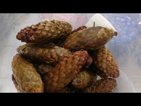 Видео: Чай? Вкусное лекарство!
