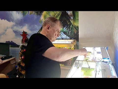 Видео: #Предновогодний Стрим. Отвечаем на Вопросы