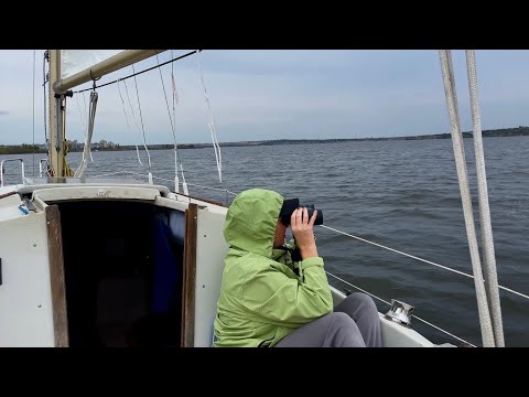 Видео: Осторожно! Рыбацкие сети!) Николаев. Яхта Харизма. 07.10.2025 г.