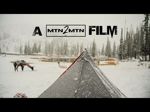 Видео: Охота на лося с винтовкой | MTN2MTN Media | Фильмы 4K