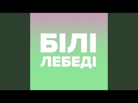 Видео: Білі Лебеді