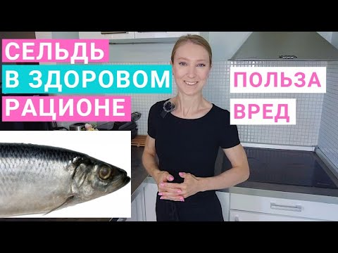 Видео: Сельдь в здоровом питании: чем полезна? Сельдь в масле. Соленая сельдь. Рецепт сельди: как готовить.