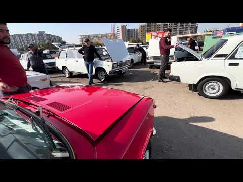 Видео: 7 ноября 2025 г.