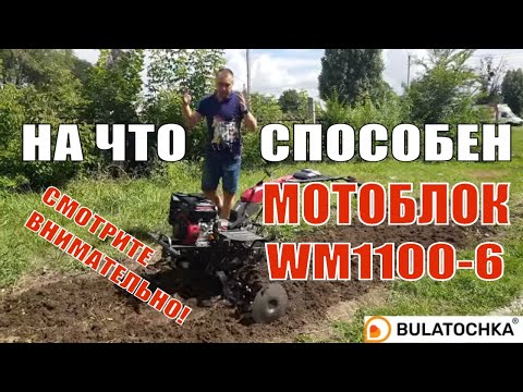 Видео: 😏На что способен КИТАЙСКИЙ мотоблок, стоит покупать? Обзор мотоблока #WEIMA DELUXE WM1100C-6 (Diff)
