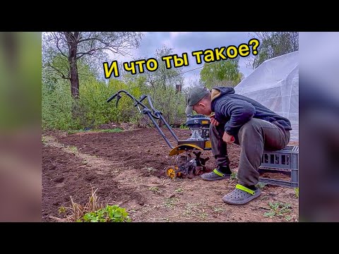 Видео: 🤷‍♂️ мотоблок с ОЗОНА.Культиватор КАЛИБР МК-5.0 . Обзор и тестдрайв. Вроде пашет , а вроде и нет