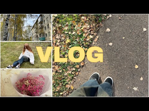 Видео: просто осенний влог