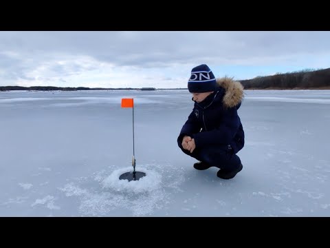 Видео: ОСКОЛ Зимняя рыбалка на Краснооскольском вдхр.