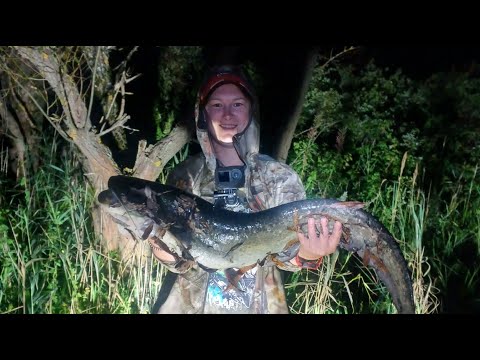 Видео: Отличная рыбалка на Волге, донимает лисица, ночной бонус!
