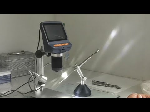 Видео: Сколько нужно трутней для осеменения 1 матки? На ИО у Михаила Гращенко, часть 2