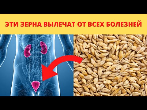 Видео: ЗЛАКИ ВОЗРОЖДЕНИЯ! Употребления ячменя каждый день приведет к...