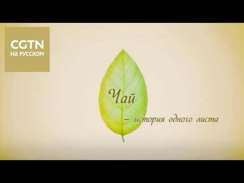 Видео: Чай - история одного листа Серия 4 [Age 0+]