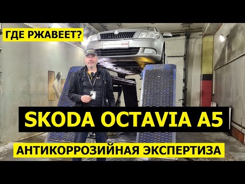 Видео: Где ржавеет? Skoda Octavia A5 антикоррозийная экспертиза Krown