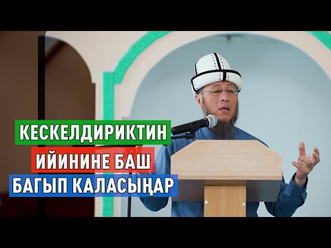 Видео: Садыбакас ажы Доолов. Баткен облусу Сүлүктү шаары. Тема: Кескелдириктин ийинине баш багып каласыңар.