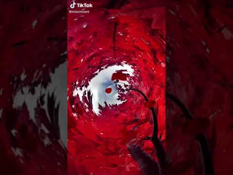 Видео: А ты знаешь,что дельфины...