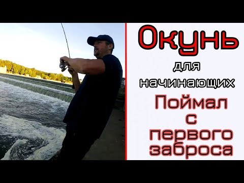 Видео: Ловля окуня для новичков. Вдхр. Крыница. Минск. Часть 2.