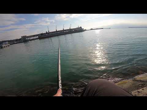 Видео: Черное море. Поиск и лов кефали(чуларки) на поплавок в порту.