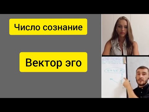 Видео: Сюцай. Число сознания. Миссия. Иллюзии. Эго.