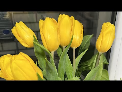 Видео: Около 8 марта дни