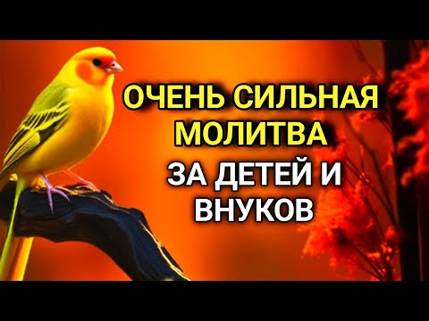 Видео: МОЩНАЯ МОЛИТВА ЗА ДЕТЕЙ И ВНУКОВ СОХРАНИ ЭТУ МОЛИТВУ И ЧИТАЙ КАЖДЫЙ ДЕНЬ УТРОМ И ВЕЧЕРОМ 🤲✨💯