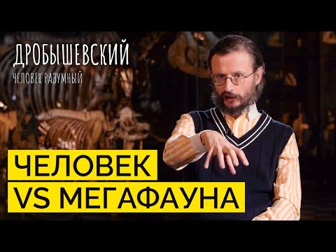 Видео: Почему вымерли гигантские животные? // Дробышевский. Человек разумный