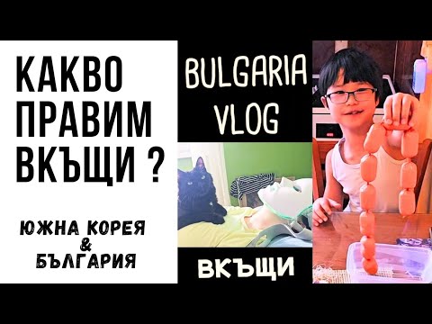 Видео: Какво правим вкъщи - влог от България 