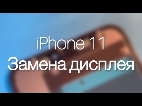 Видео: Замена дисплея iPhone 11 для самых чайников