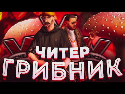 Видео: ОН ПОЧТИ МЕНЯ ОБМАНУЛ! САМЫЙ ХИТРЫЙ ЧИТЕР! Проверка читера GTA 5 RP/ГТА 5 РП на Majestic