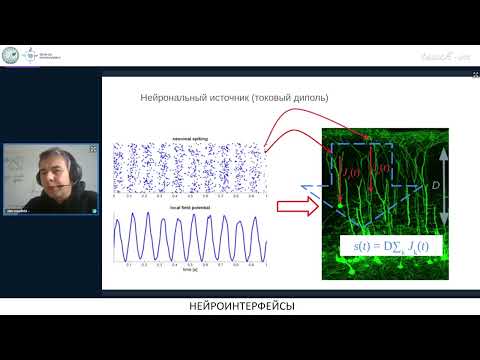 Видео: Осадчий А.Е. - Нейроинтерфейсы от биологии до анализа данных - 7. Функциональное картирование мозга