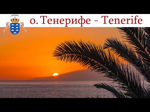 Видео: Тенерифе, день 1-ый: встреча с друзьями Канала  |  Tenerife, España-día 1 | Tenerife, Spain - Day 1