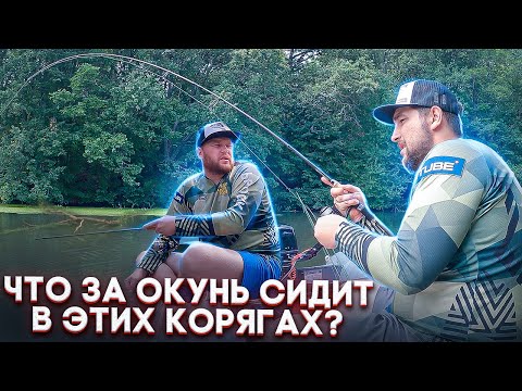 Видео: ЧТО ЗА ОКУНЬ СИДИТ В ЭТИХ КОРЯГАХ?