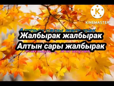 Видео: Жалбырак ыр (-)