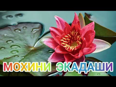 Видео: Не пропусти! МОХИНИ ЭКАДАШИ.