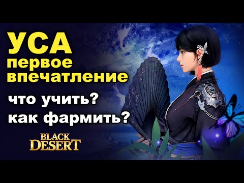 Видео: УСА: Скилы, фарм и первые впечатления - НЕ гайд в BDO - Black Desert (MMORPG)