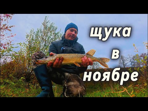 Видео: ловля щуки в ноябре в шторм а хотел роймать карпа