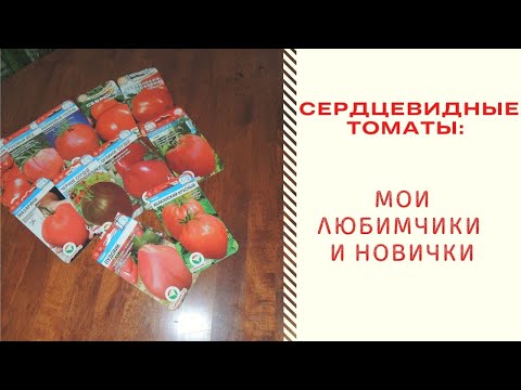 Видео: СЕРДЦЕВИДНЫЕ ТОМАТЫ: МОИ ЛЮБИМЧИКИ И НОВИЧКИ