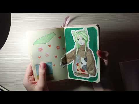 Видео: Огромный новогодний обзор на скетчбуки ✨