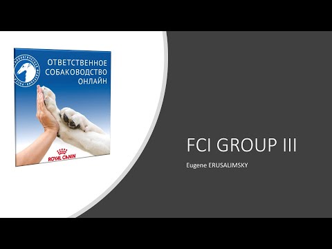 Видео: Особенности судейства десяти групп пород FCI: Группа III | «Ответственное собаководство онлайн»