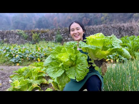 Видео: Йике устал от работы на ферме, поэтому я выбрал 2 овоща, чтобы приготовить вкусное блюдо.