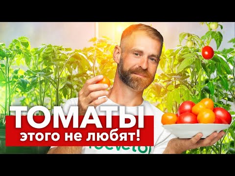 Видео: НЕ ДЕЛАЙТЕ ЭТИ ОШИБКИ ПРИ ПОСЕВЕ ТОМАТОВ! Ошибки всех начинающих огородников при выращивании рассады