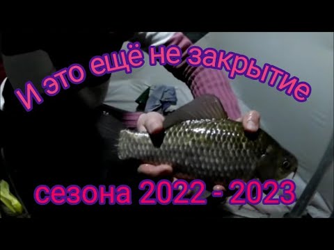 Видео: Зимняя рыбалка на Цимлянском водохранилище.