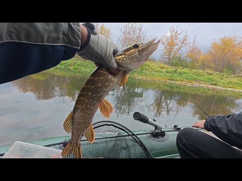 Видео: Сплав по Ворсклі. Писарівщина - Чернечий Яр - Михайлівка.