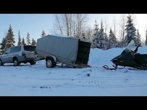 Видео: Боролся до последнего, но не смог.