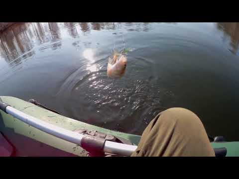 Видео: 06. 10 .19. пос. Акация.  Ловля с лодки на балансир поздней осенью.