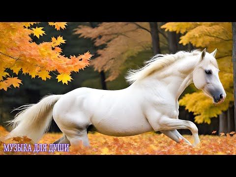 Видео: Красивая музыка для души Очень Мощная и Красивая Музыка! Потрясающий Трек! Самая Красивая Музыка#52