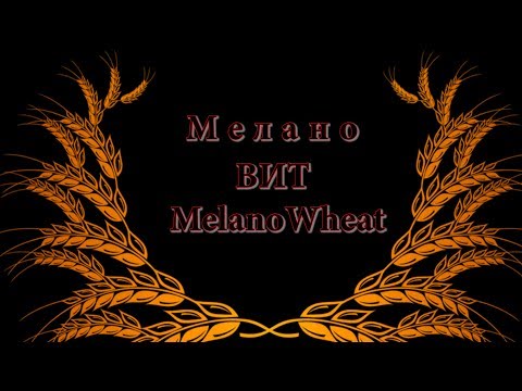 Видео: Мелано Вит. Карамельная Пшеничка
