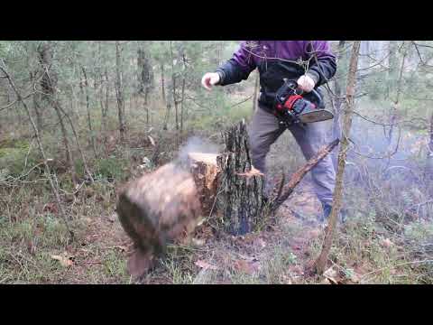 Видео: ЖЕСТЬ😤 5- лет Гарантии На Эту Бензопилу BKZ 4020r Такого не позволит даже STIHL