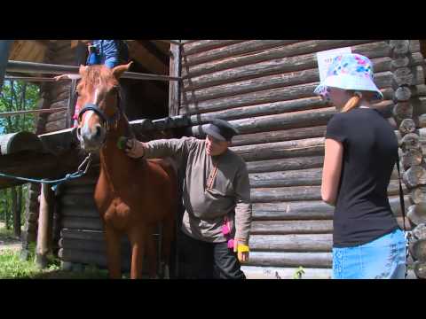Видео: Витославлицы. Фильм второй